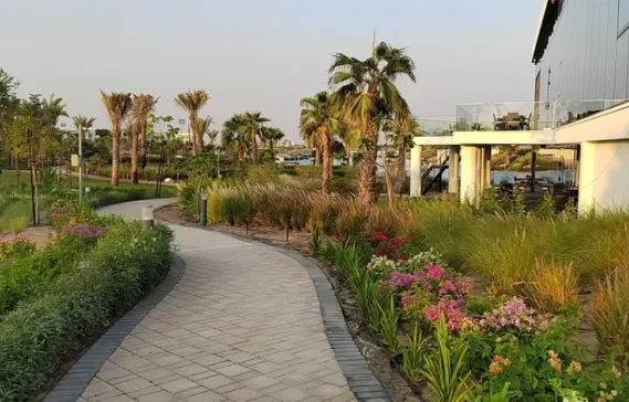 Madinat Hind: A Comprehensive Area Guide